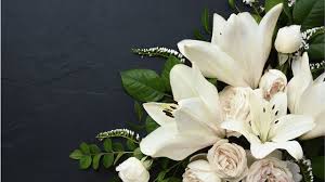 Kate Johnson Death, Obituary, St. Louis, Missouri: Indiana University Student Passed Away Unexpectedly